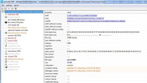 Basic information about the malware.